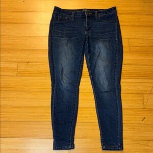 Universal Thread Dark Blue Skinny Jeans